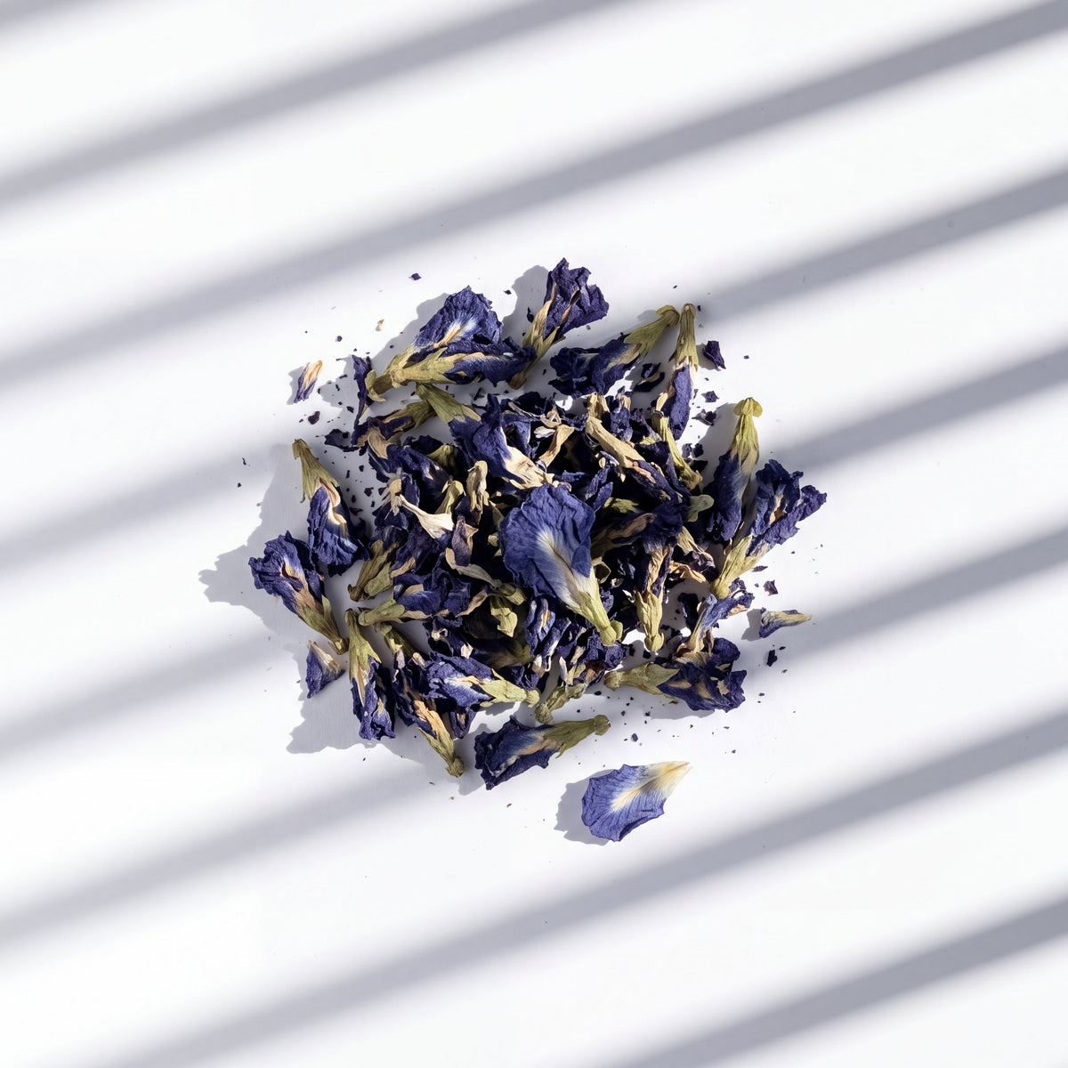 Dried butterfly pea flowers, one of the seven botanicals in Gather, on a white surface under striped sunlight