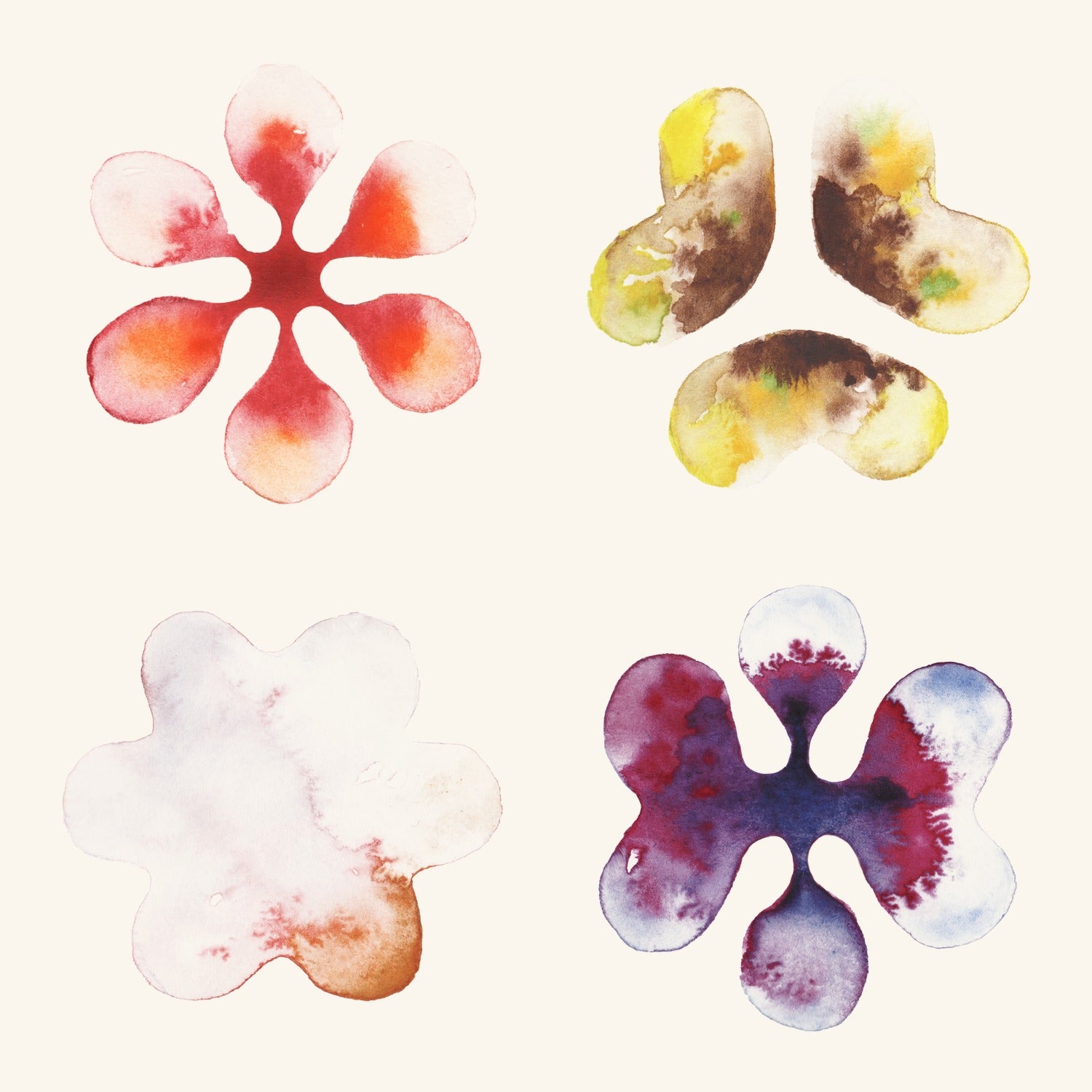 Four watercolor marks — Daybreak, Rooted, Dusk, Gather — the four blends in the Discovery Box
