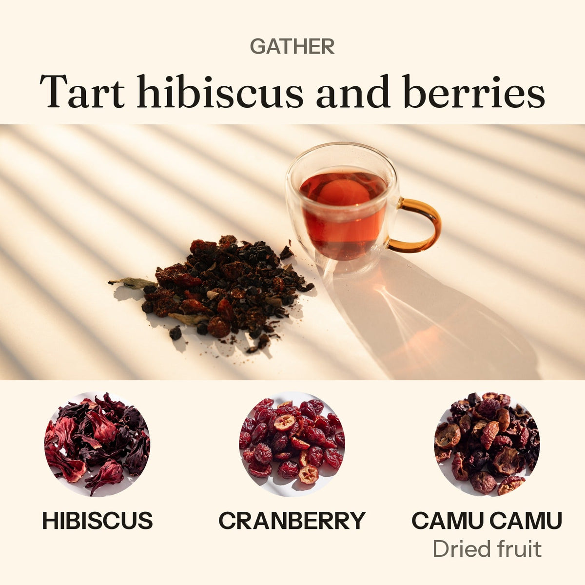 Gather: tart hibiscus and berries. Gather brewed in a clear glass cup beside the loose blend, with hibiscus, cranberry and camu camu.