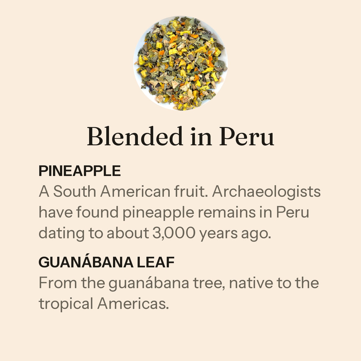 Rooted loose leaf, blended in Peru. Pineapple: a South American fruit. Archaeologists have found pineapple remains in Peru dating to about 3,000 years ago. Guanábana leaf: from the guanábana tree, native to the tropical Americas.