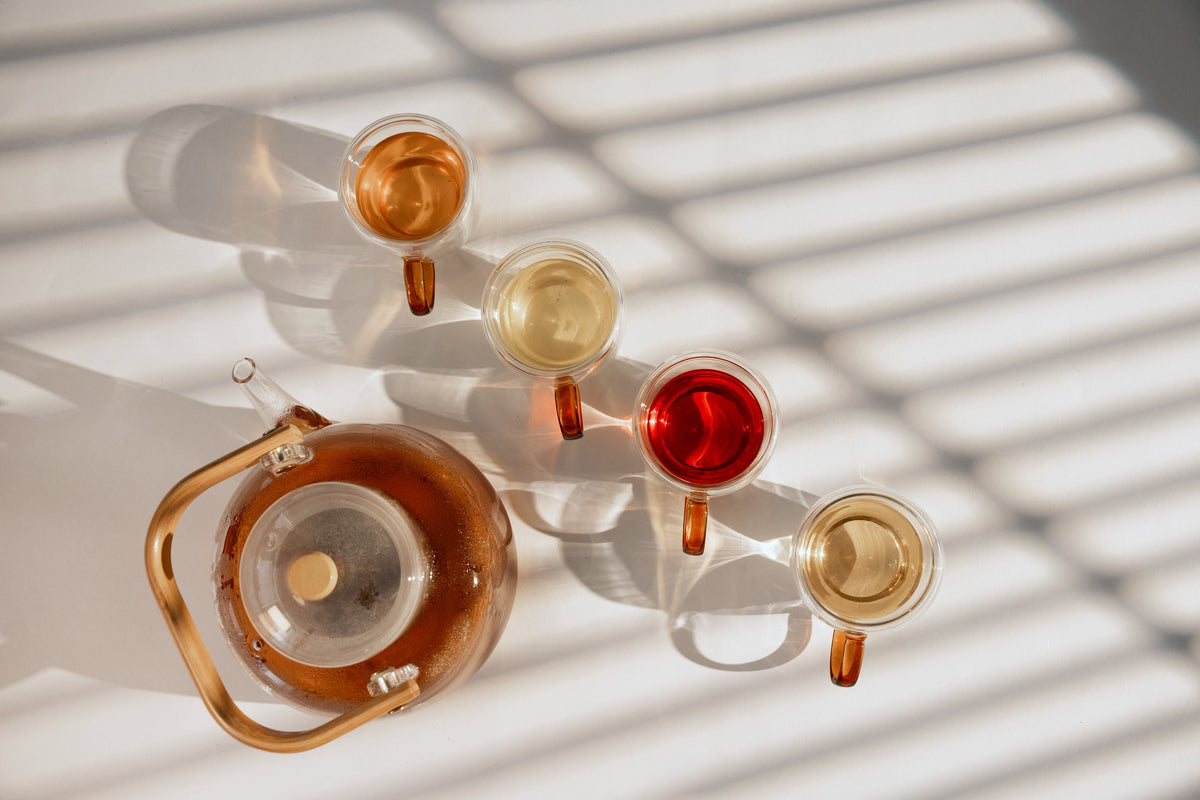 The glass teapot with the four blends brewed beside it, Gather deep red, on a white surface under striped sunlight