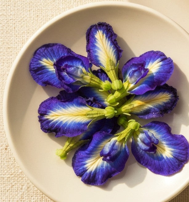Dried butterfly pea flowers