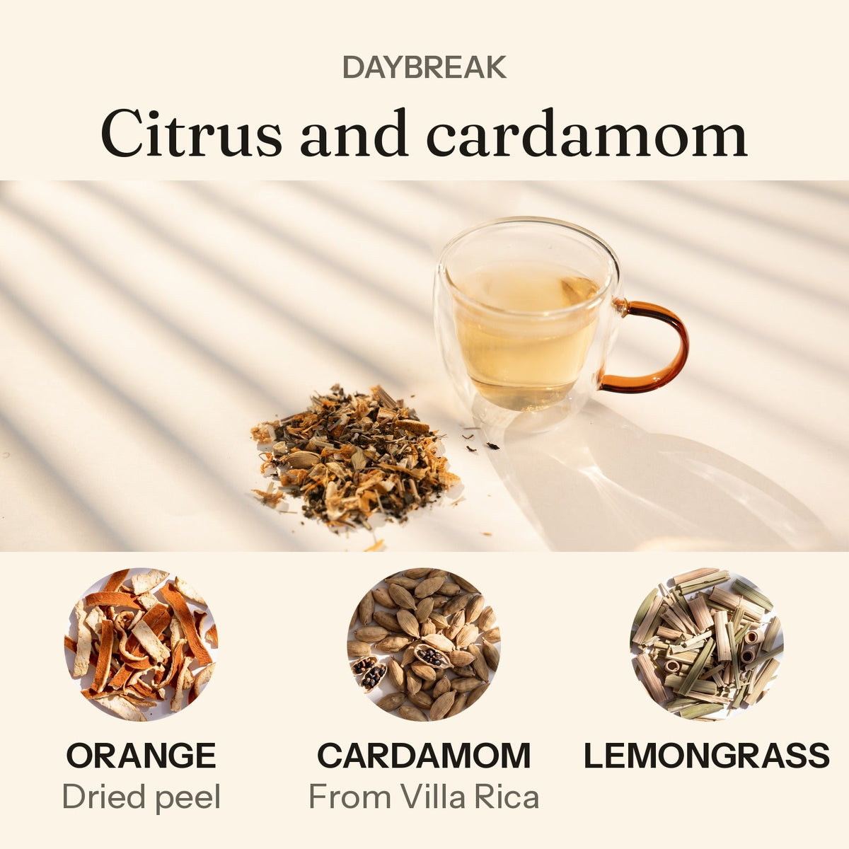 Daybreak: citrus and cardamom. Daybreak brewed in a clear glass cup beside the loose blend, with orange, cardamom and lemongrass.