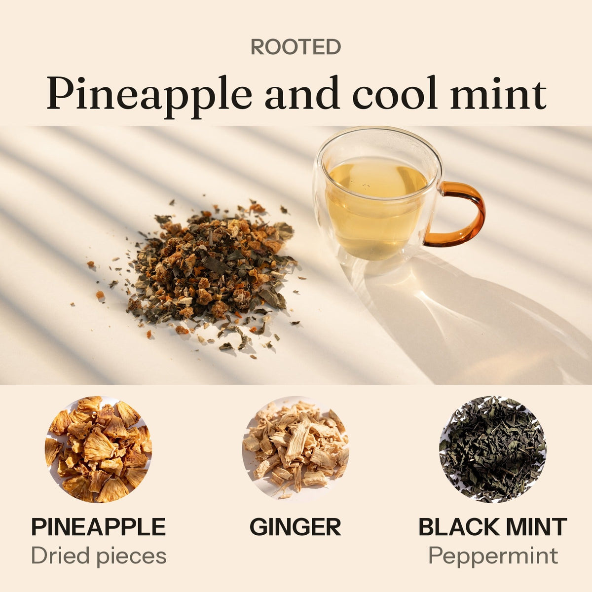 Rooted: pineapple and cool mint. Rooted brewed in a clear glass cup beside the loose blend, with pineapple, ginger and black mint.
