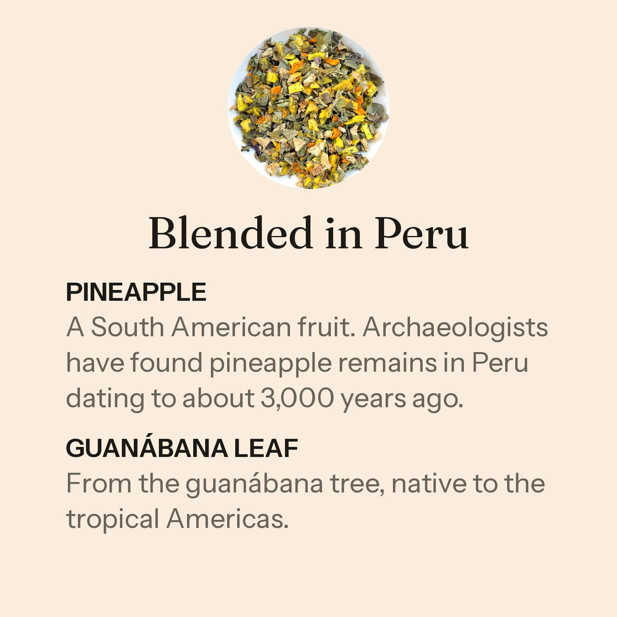 Rooted loose leaf, blended in Peru. Pineapple: a South American fruit. Archaeologists have found pineapple remains in Peru dating to about 3,000 years ago. Guanábana leaf: from the guanábana tree, native to the tropical Americas.