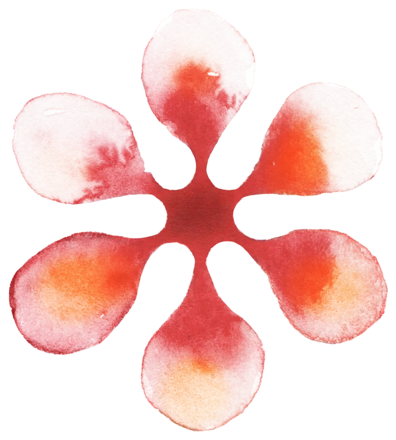 Daybreak · citrus and cardamom — watercolor mark