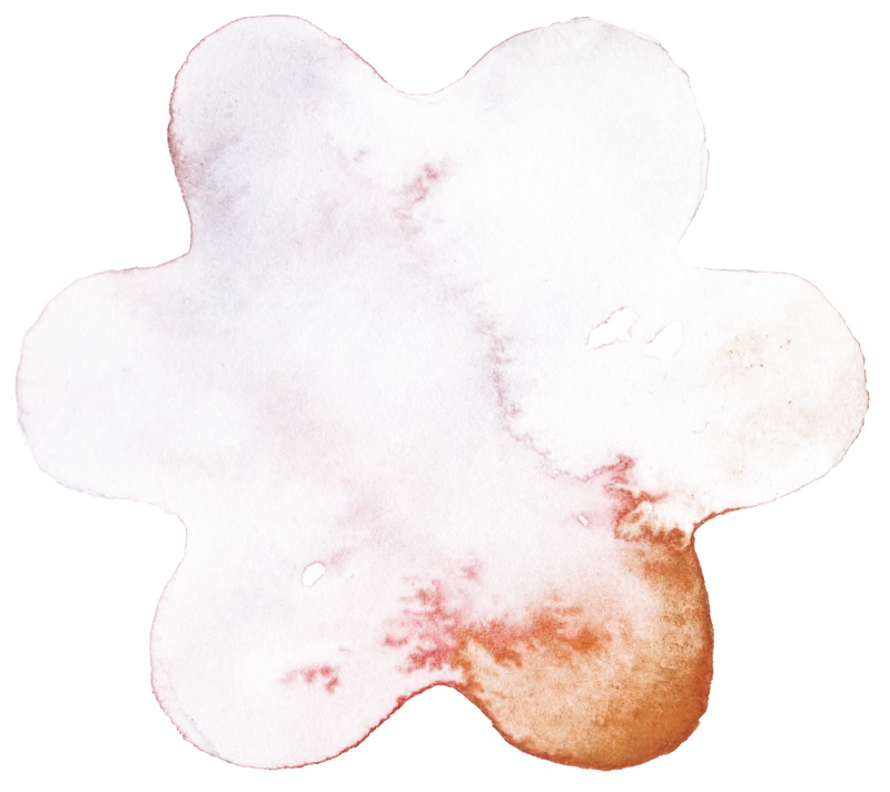 Dusk · spiced apple and vanilla — watercolor mark