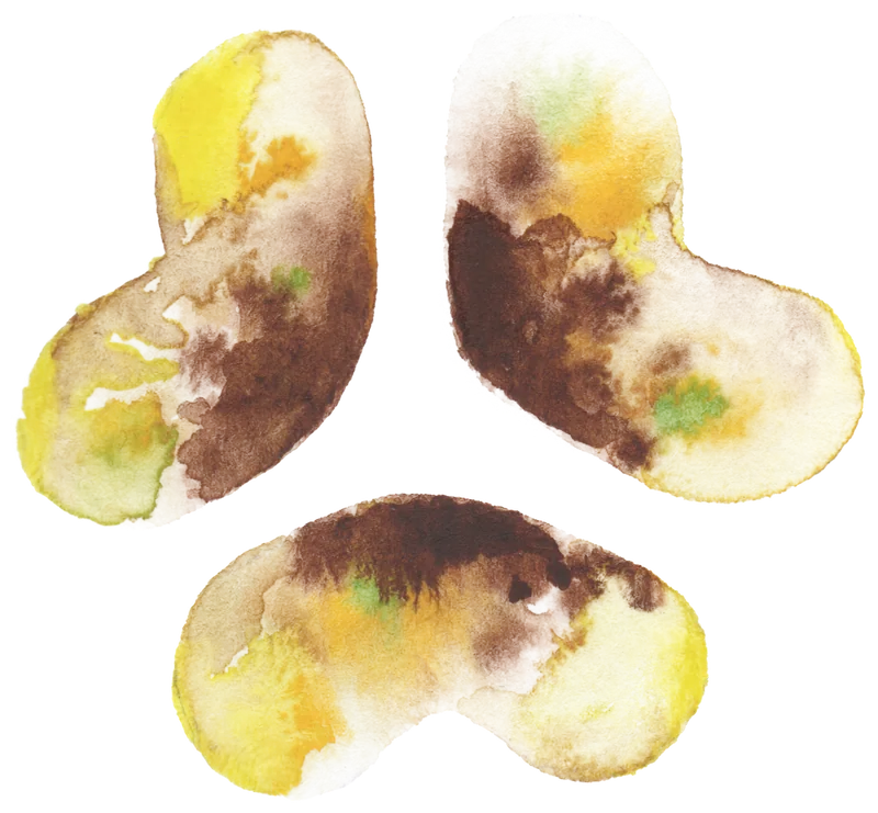 Rooted · pineapple and black mint — watercolor mark